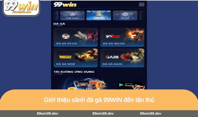 Giới thiệu sảnh đá gà 99WIN đến tân thủ