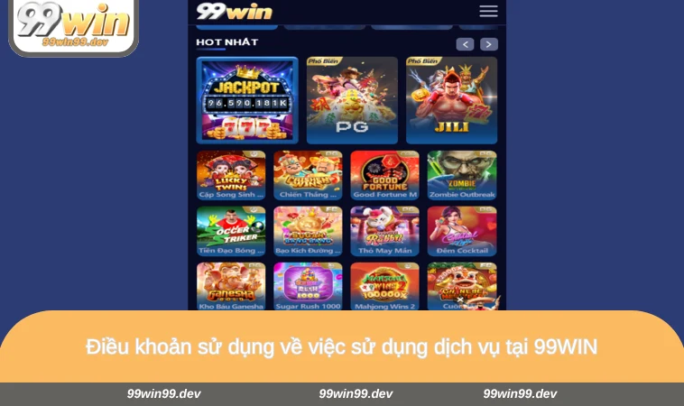 Điều khoản sử dụng về việc sử dụng dịch vụ tại 99WIN