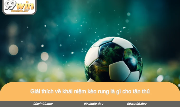 Giải thích về khái niệm kèo rung là gì cho tân thủ