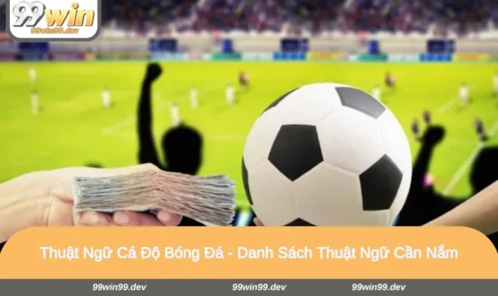 Thuật Ngữ Cá Độ Bóng Đá